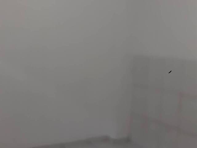 Casa para Locação em São Paulo - 2